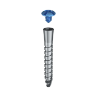 Гвинт тентовий з заглушкою для фіксації мембран DSI New Tenting 2-component Screw ⌀2,0 мм., довжина 6 мм., 1 шт. 