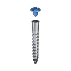 Гвинт тентовий з заглушкою для фіксації мембран DSI New Tenting 2-component Screw ⌀2,0 мм., довжина 6 мм., 1 шт. 