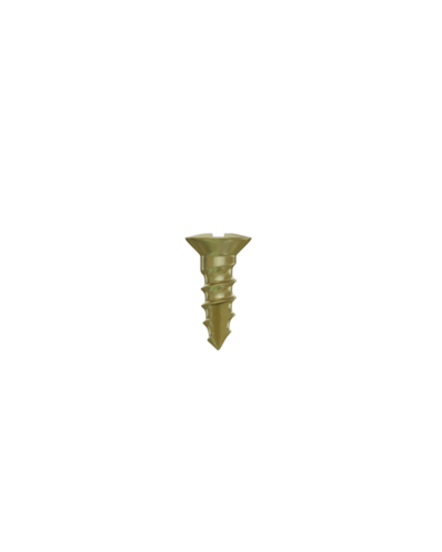 Гвинти для фіксації мембран DSI GBR Bone Screw ⌀1,4 мм., довжина 3 мм., 5 шт.