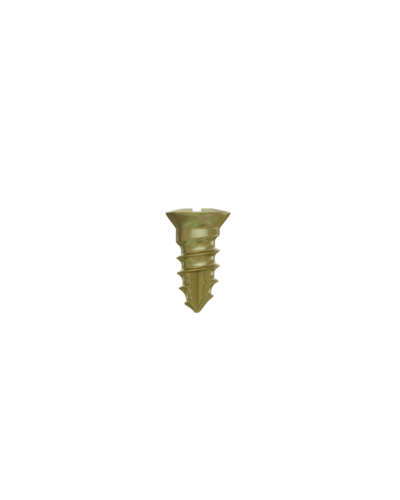Гвинти для фіксації мембран DSI GBR Bone Screw ⌀2,0 мм., довжина 3 мм., 5 шт.