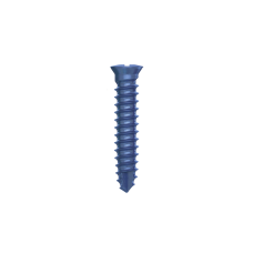 Гвинти для фіксації мембран DSI GBR Bone Screw ⌀2,0 мм., довжина 10 мм., 5 шт.