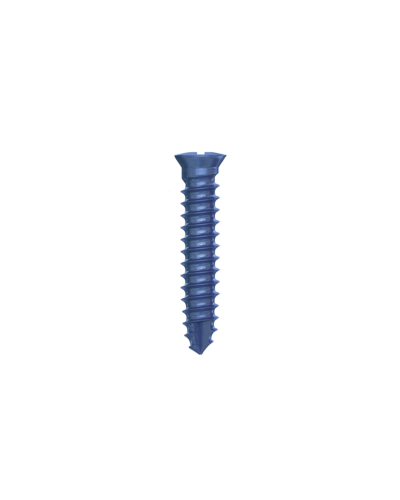 Гвинти для фіксації мембран DSI GBR Bone Screw ⌀2,0 мм., довжина 10 мм., 5 шт.
