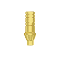 Абатмент титановий прямий DSI Shoulder Straight Abutment, конусне з'єднання NP (2,25 мм), 2 мм