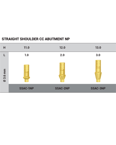 Абатмент титановий прямий DSI Shoulder Straight Abutment, конусне з'єднання NP (2,25 мм), 1 мм