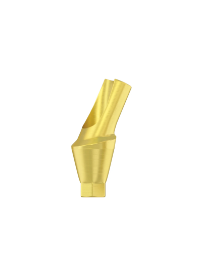 Абатмент титановий кутовий 25° DSI Anatomic Abutment, конусне з'єднання RP (2,65 мм), 3,0 мм