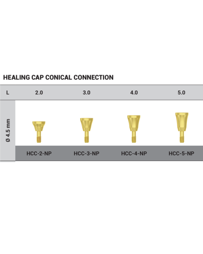 Формувач ясен DSI Healing Cap Concave ⌀4.5 мм, конусне з'єднання NP (2,25 мм), 2 мм Формувач ясен DSI Healing Cap Concave ⌀4.5 мм, конусне з'єднання NP (2,25 мм), 2 мм