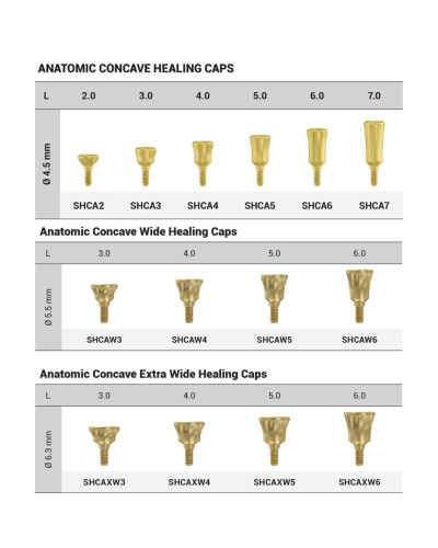Формувач ясен DSI Healing Cap Concave ⌀4.5 мм, внутрішній шестигранник ⌀2,42, 2 мм Формувач ясен DSI Healing Cap Concave ⌀4.5 мм, внутрішній шестигранник ⌀2,42, 2 мм