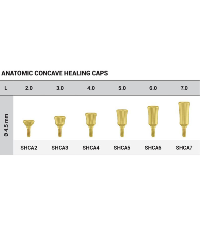 Формувач ясен DSI Healing Cap Concave ⌀4.5 мм, внутрішній шестигранник ⌀2,42, 2 мм Формувач ясен DSI Healing Cap Concave ⌀4.5 мм, внутрішній шестигранник ⌀2,42, 2 мм