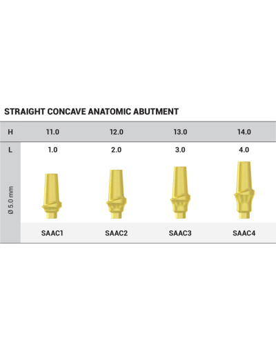 Абатмент титановий прямий DSI Titanium Concave Straight Abutment Hex ⌀2.42, 1 мм Абатмент титановий прямий DSI Titanium Concave Straight Abutment Hex ⌀2.42, 1 мм