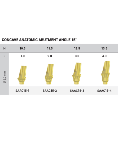 Абатмент титановий кутовий 15° DSI Titanium Concave Straight Abutment Hex ⌀2.42, 1 мм