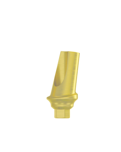 Абатмент титановий кутовий 25° DSI Titanium Concave Straight Abutment Hex ⌀2.42, 1 мм
