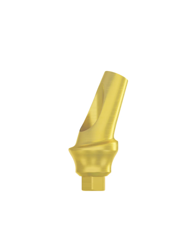 Абатмент титановий кутовий 25° DSI Titanium Concave Straight Abutment Hex ⌀2.42, 2 мм