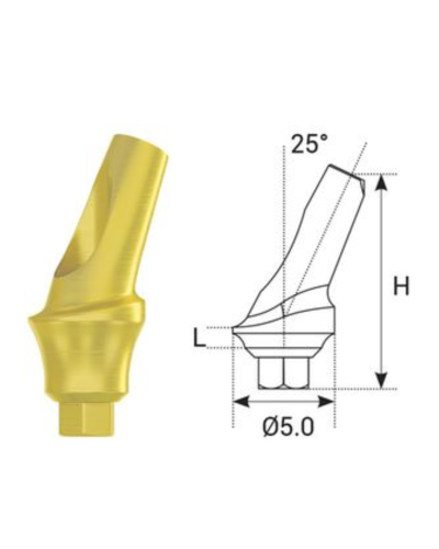 Абатмент титановий кутовий 25° DSI Titanium Concave Straight Abutment Hex ⌀2.42, 1 мм Абатмент титановий кутовий 25° DSI Titanium Concave Straight Abutment Hex ⌀2.42, 1 мм