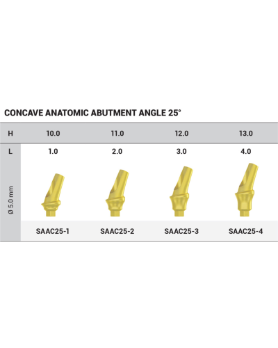 Абатмент титановий кутовий 25° DSI Titanium Concave Straight Abutment Hex ⌀2.42, 1 мм Абатмент титановий кутовий 25° DSI Titanium Concave Straight Abutment Hex ⌀2.42, 1 мм